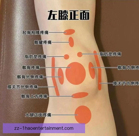 七项全能髌腱炎康复方案公布，逐周负荷控制很关键